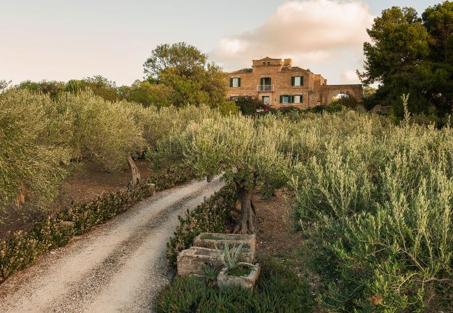 Villa in Paceco - Exclusive villa with pool near Trapani - Sicily Villa in Paceco - Exclusive villa with pool near Trapani - Sicily