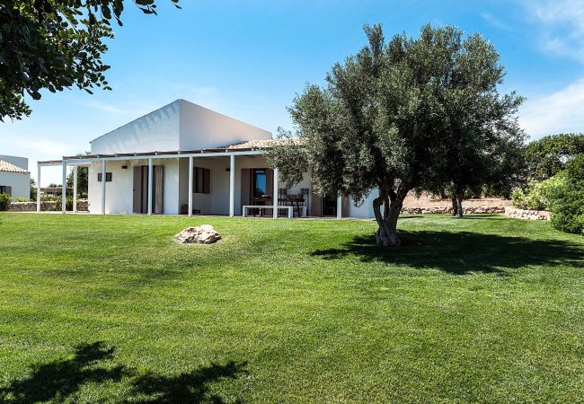 Villa in Scicli - Villa with terrace and private garden. Shared pool. In Scicli, Sicily - Ulivi Villa in Scicli - Villa with terrace and private garden. Shared pool. In Scicli, Sicily - Ulivi