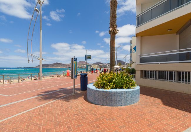 Studio in Las Palmas de Gran Canaria - Great terrace sea views By CanariasGetaway  Studio in Las Palmas de Gran Canaria - Great terrace sea views By CanariasGetaway