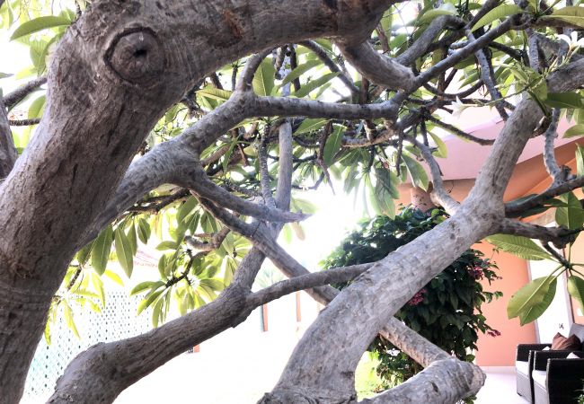 Chalet in Maspalomas - Great villa in Meloneras by CanariasGetaway Chalet in Maspalomas - Great villa in Meloneras by CanariasGetaway