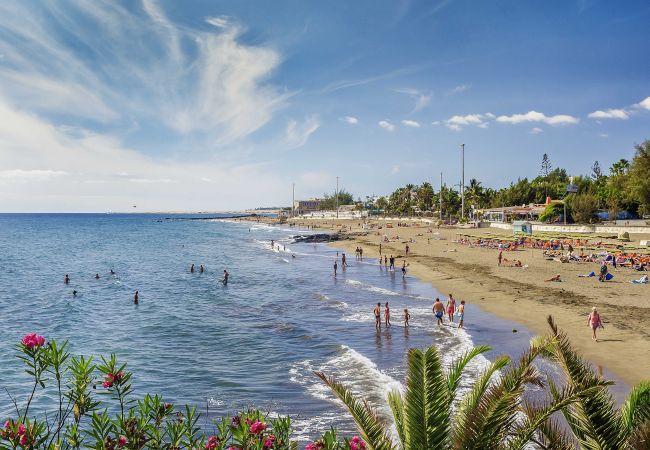 Apartment in Las Palmas de Gran Canaria - QUIET BEHIND THE BEACH Apartment in Las Palmas de Gran Canaria - QUIET BEHIND THE BEACH