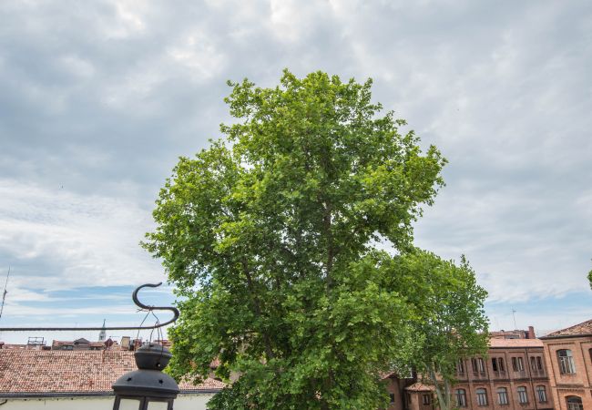 Studio in Venezia - Zattere Design Loft Studio in Venezia - Zattere Design Loft