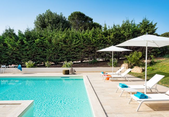 Villa in Salemi - Beautiful villa with pool, near Trapani Villa in Salemi - Beautiful villa with pool, near Trapani