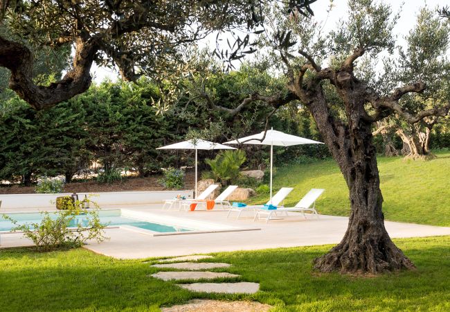 Villa in Salemi - Beautiful villa with pool, near Trapani Villa in Salemi - Beautiful villa with pool, near Trapani