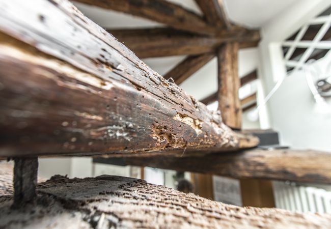 Apartment in Venezia - Design District Apartment R&R Apartment in Venezia - Design District Apartment R&R