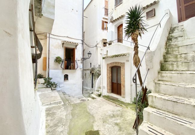 Apartment in Sperlonga - evocative one bedroom apartment in the square of Sperlonga Apartment in Sperlonga - evocative one bedroom apartment in the square of Sperlonga