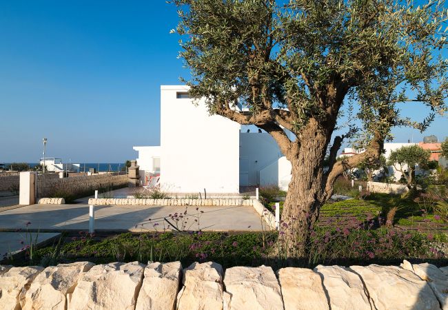 Villa in Noto - Seafront villa with pool near Syracuse, Sicily - Palma - 8 pax Villa in Noto - Seafront villa with pool near Syracuse, Sicily - Palma - 8 pax