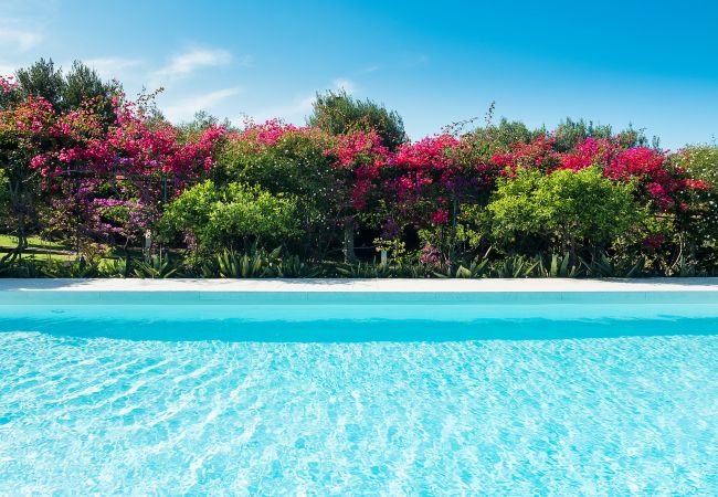 Villa in Marsala - Exclusive villa with pool, external kithchen, in Marsala, Sicily Villa in Marsala - Exclusive villa with pool, external kithchen, in Marsala, Sicily