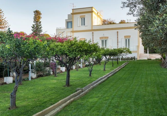 Villa in Marsala - Exclusive villa with pool, external kithchen, in Marsala, Sicily Villa in Marsala - Exclusive villa with pool, external kithchen, in Marsala, Sicily