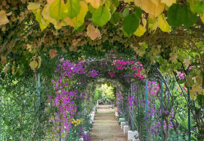 Villa in Marsala - Exclusive villa with pool, external kithchen, in Marsala, Sicily Villa in Marsala - Exclusive villa with pool, external kithchen, in Marsala, Sicily