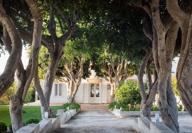 Villa in Marsala - Exclusive villa with pool, external kithchen, in Marsala, Sicily Villa in Marsala - Exclusive villa with pool, external kithchen, in Marsala, Sicily