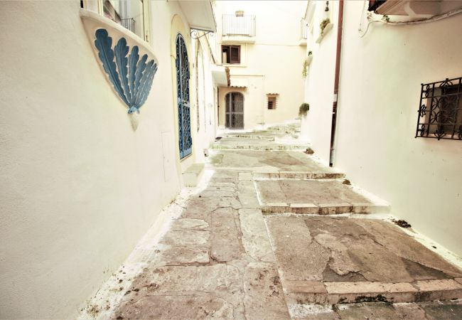 Apartment in Sperlonga - Panoramic Three-Room Apartment in the Historic Center Apartment in Sperlonga - Panoramic Three-Room Apartment in the Historic Center
