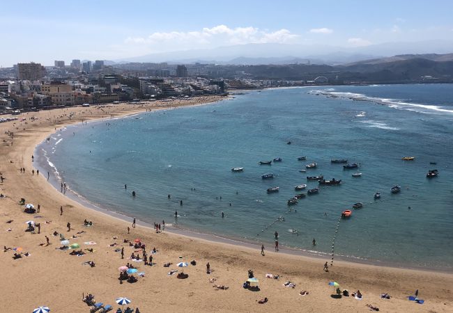 House in Las Palmas de Gran Canaria - Castle and Park view  By CanariasGetaway 