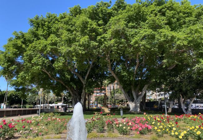 House in Las Palmas de Gran Canaria - Castle and Park view  By CanariasGetaway  House in Las Palmas de Gran Canaria - Castle and Park view  By CanariasGetaway