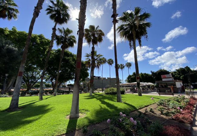 House in Las Palmas de Gran Canaria - Castle and Park view  By CanariasGetaway  House in Las Palmas de Gran Canaria - Castle and Park view  By CanariasGetaway