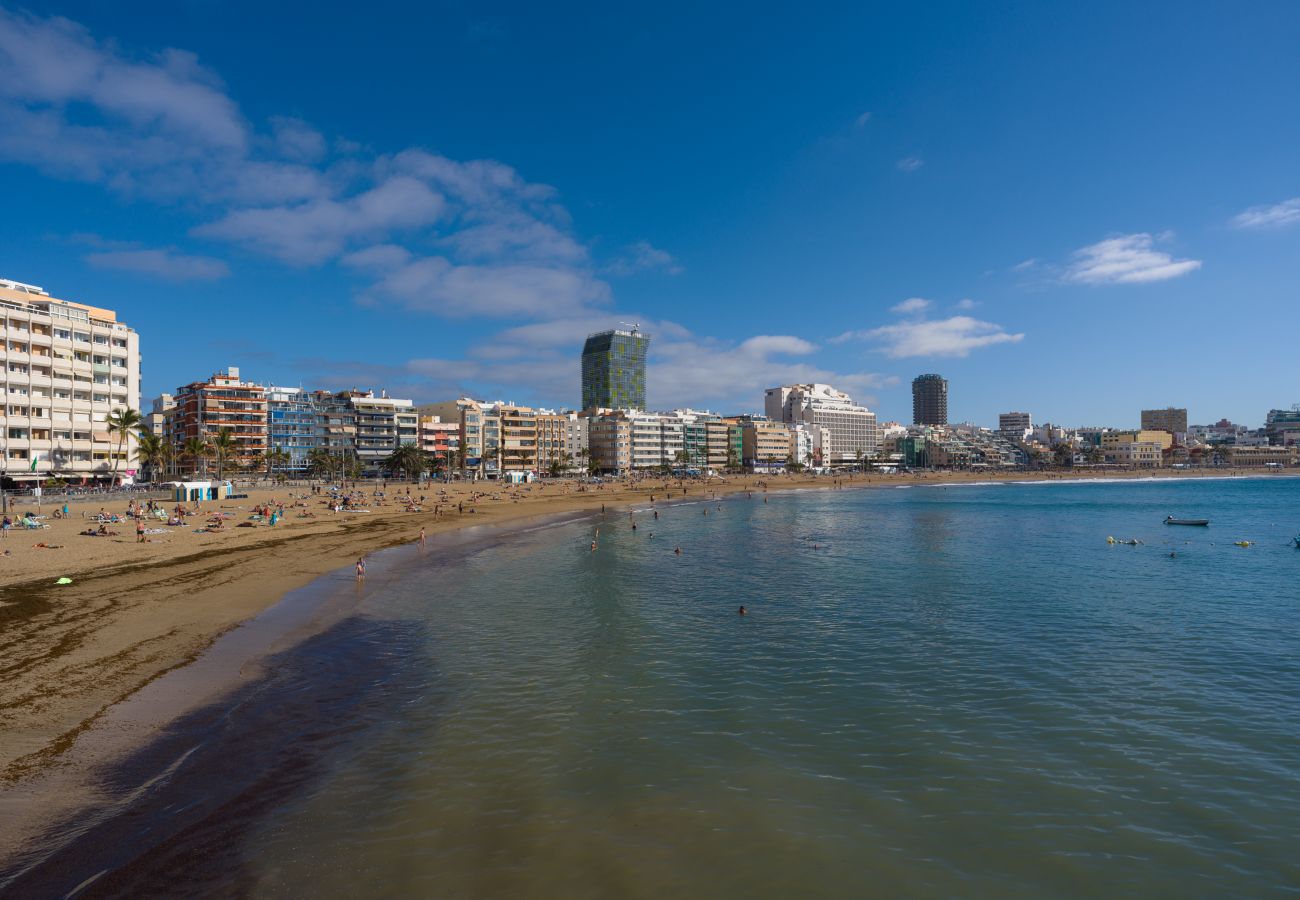 House in Las Palmas de Gran Canaria - Castle and Park view  By CanariasGetaway 