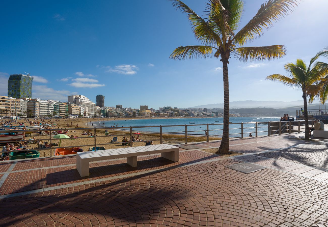 House in Las Palmas de Gran Canaria - Castle and Park view  By CanariasGetaway 