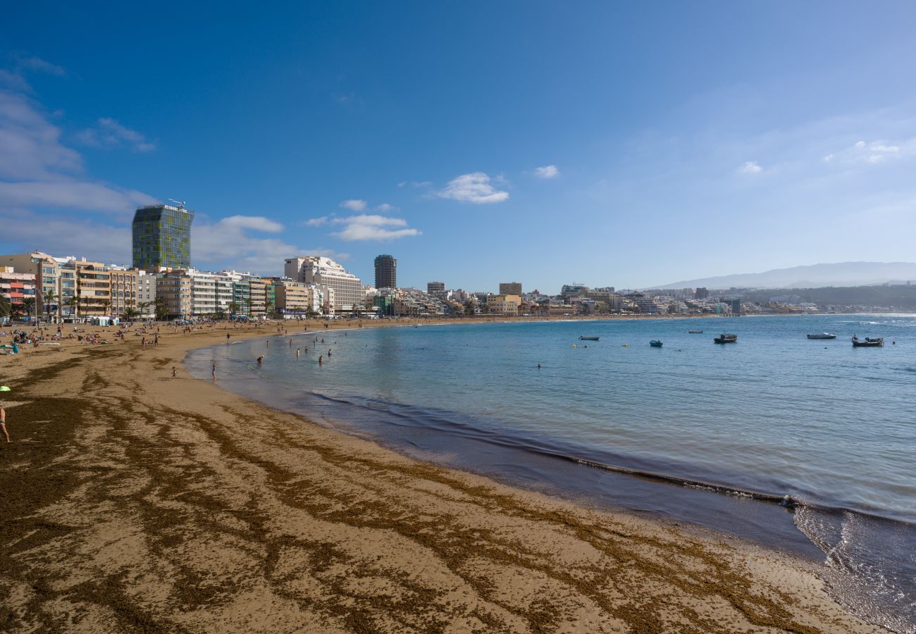 House in Las Palmas de Gran Canaria - Castle and Park view  By CanariasGetaway 