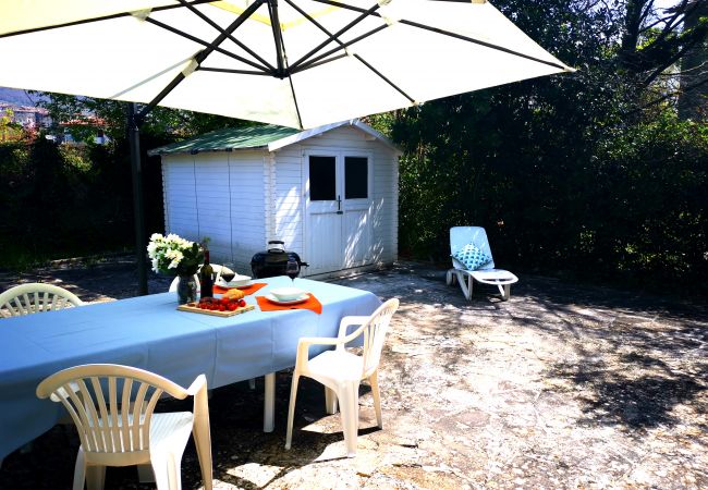 Villa in Bolsena - Villa directly by the sea -Villa Clara for 12 persons Villa in Bolsena - Villa directly by the sea -Villa Clara for 12 persons