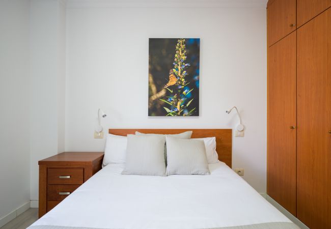 House in Las Palmas de Gran Canaria - Penthouse+Terrace city seaview By CanariasGetaway  House in Las Palmas de Gran Canaria - Penthouse+Terrace city seaview By CanariasGetaway