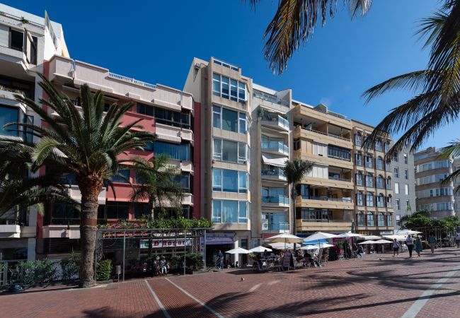 House in Las Palmas de Gran Canaria - Awesome beachfront terrace By CanariasGetaway  House in Las Palmas de Gran Canaria - Awesome beachfront terrace By CanariasGetaway