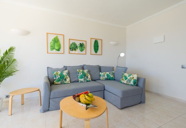House in Las Palmas de Gran Canaria - Mirador de Las Canteras by Canariasgetaway House in Las Palmas de Gran Canaria - Mirador de Las Canteras by Canariasgetaway