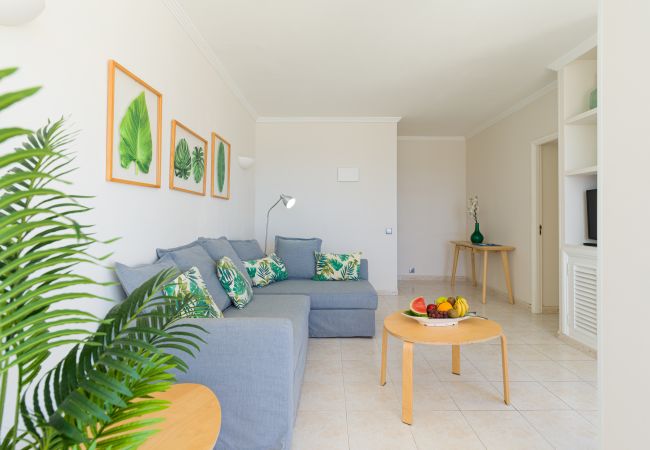 House in Las Palmas de Gran Canaria - Mirador de Las Canteras by Canariasgetaway House in Las Palmas de Gran Canaria - Mirador de Las Canteras by Canariasgetaway