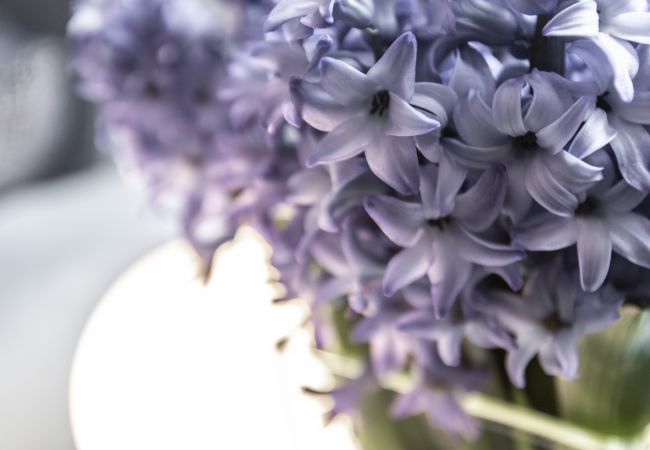 Apartment in Venezia - Charming Apartment on the Grand Canal R&R Apartment in Venezia - Charming Apartment on the Grand Canal R&R