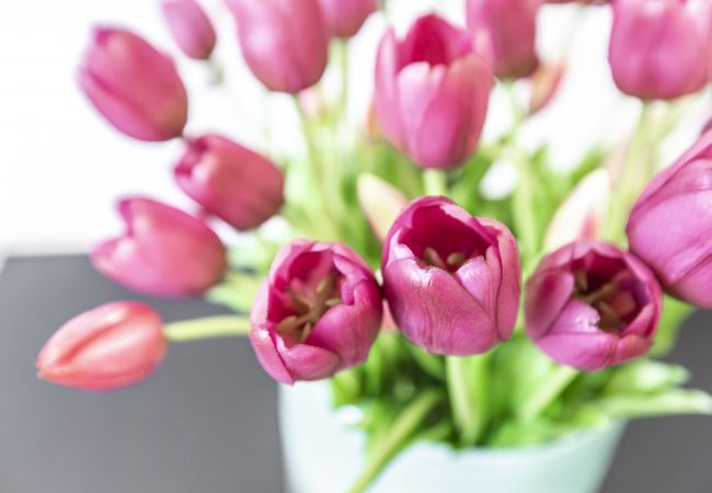 Apartment in Venezia - Charming Apartment on the Grand Canal R&R Apartment in Venezia - Charming Apartment on the Grand Canal R&R