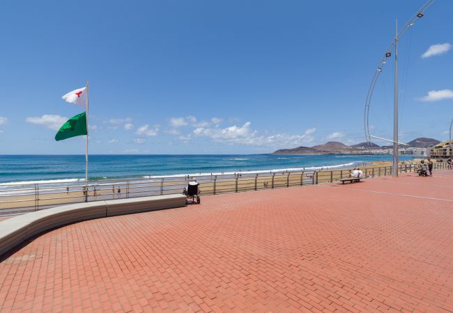 House in Las Palmas de Gran Canaria - Design in the Midtown by CanariasGetaway House in Las Palmas de Gran Canaria - Design in the Midtown by CanariasGetaway