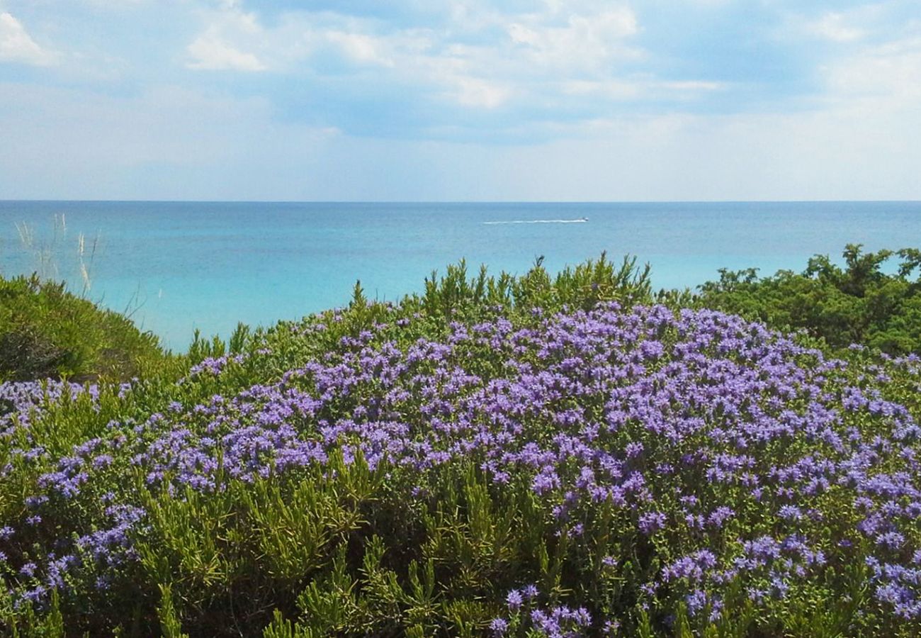 Villa in Torricella - Sea villa with private pool located in Torre Ovo, Apulia