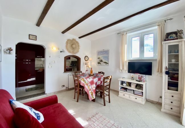 Apartment in Sperlonga - Casa with terrace overlooking the sea and parking space Apartment in Sperlonga - Casa with terrace overlooking the sea and parking space