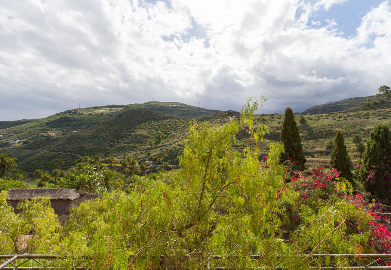 Country house in Telde - Casa África Loft - Finca Cruz Mayor