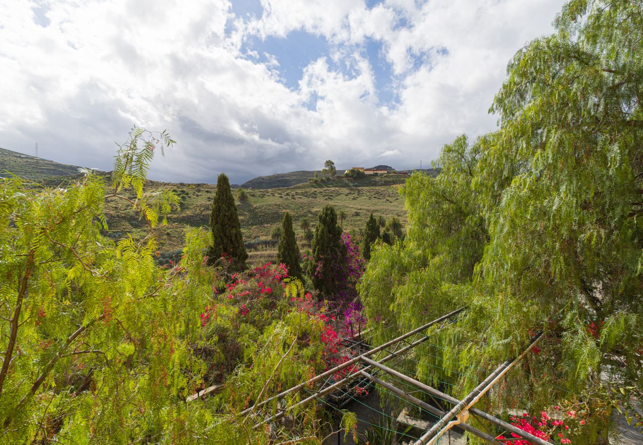 Country house in Telde - Casa África Loft - Finca Cruz Mayor
