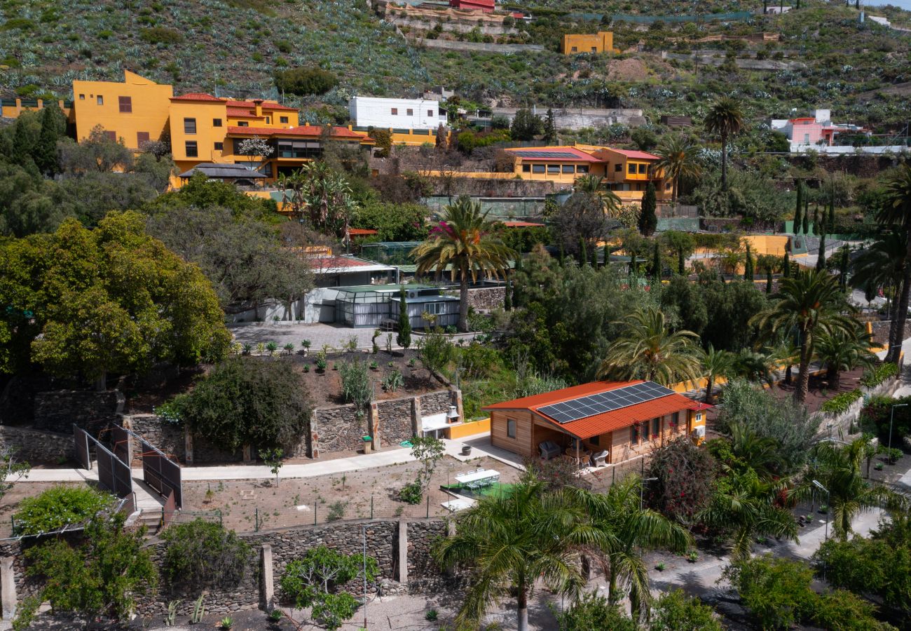 Country house in Telde - Casa África Loft - Finca Cruz Mayor