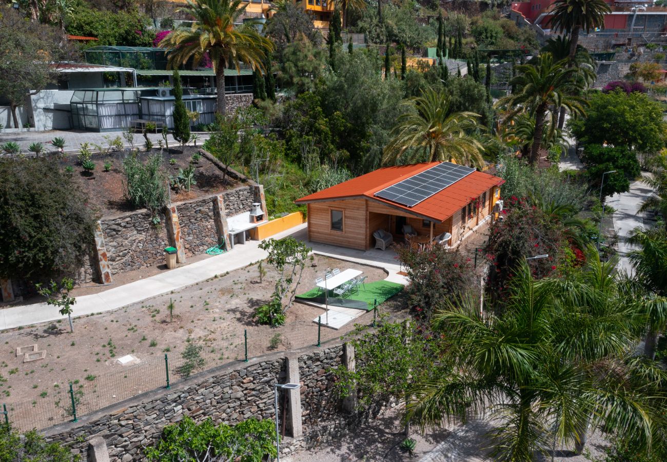 Country house in Telde - Casa África Loft - Finca Cruz Mayor