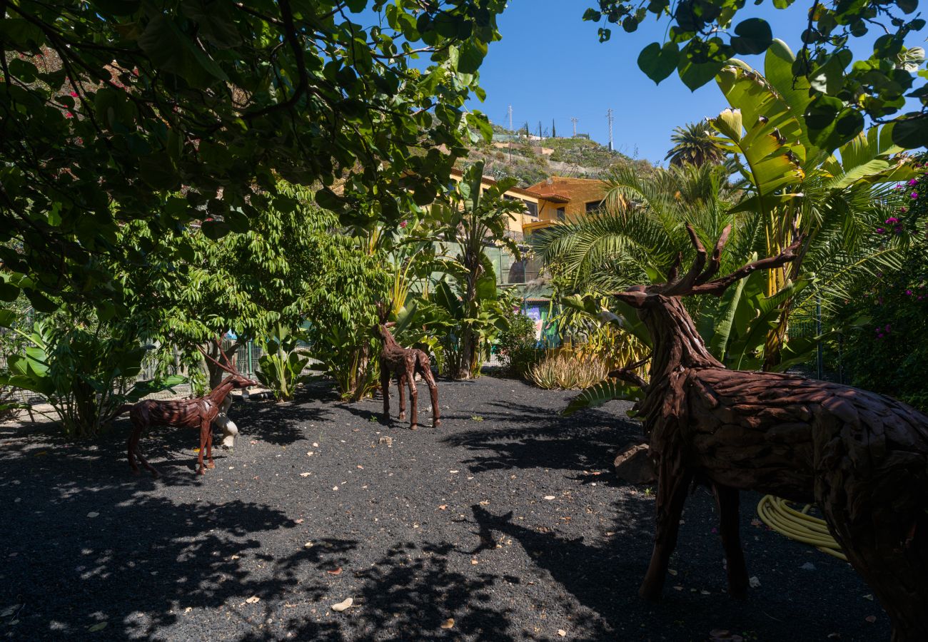 Country house in Telde - Casa África - Finca Cruz Mayor