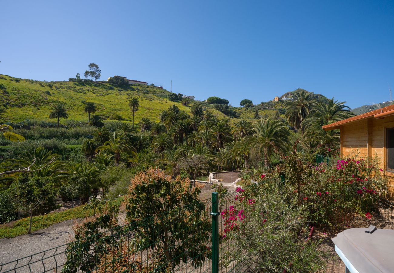 Country house in Telde - Casa Chica