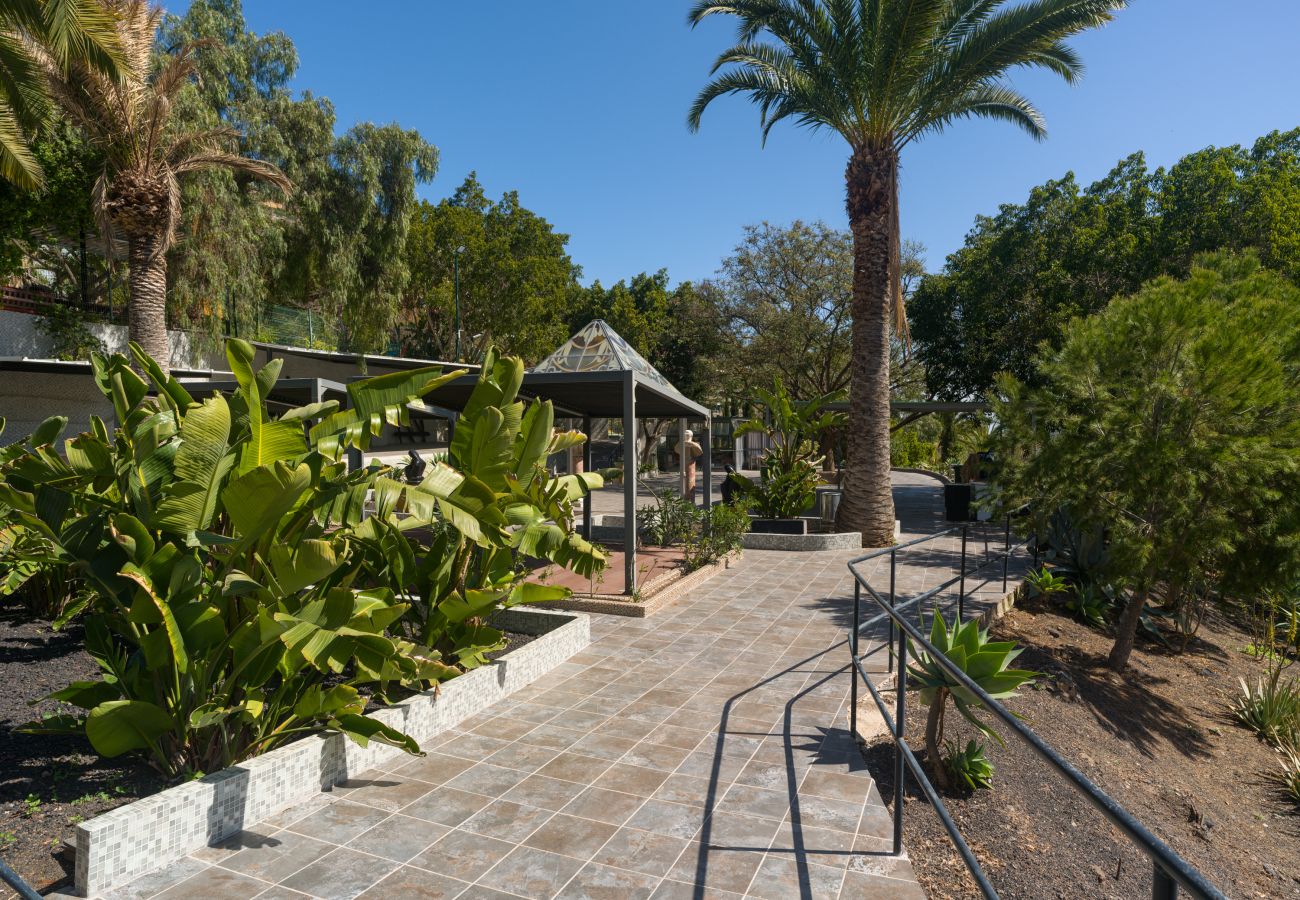 Country house in Telde - Casa Chica