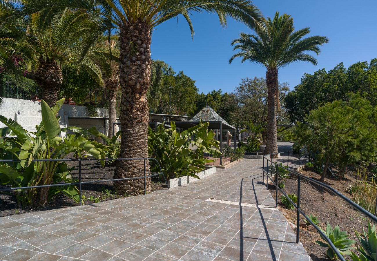 Country house in Telde - Casa Chica