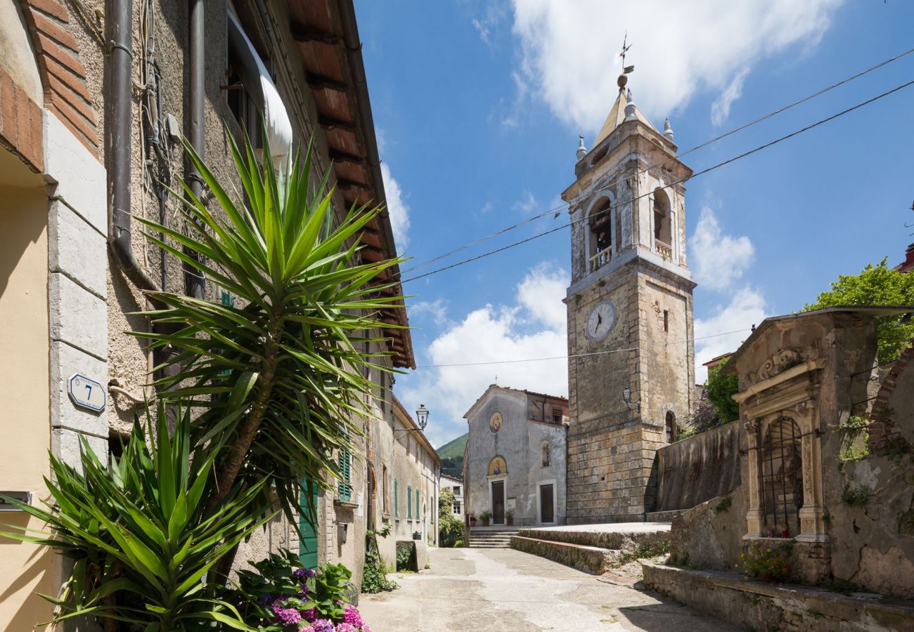 Villa in Camaiore - Villa with heated pool and amazing view, Camaiore