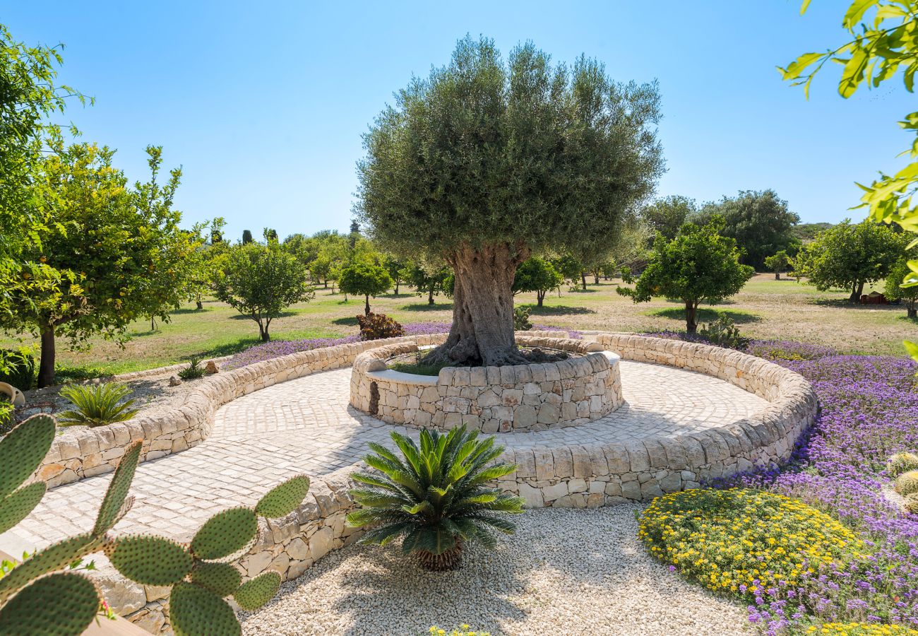 Villa in Noto - Splendid villa with pool near Noto - DiCasaInSIcilia