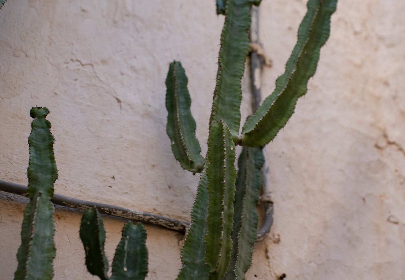 Apartment in Sperlonga - Casa IDIA – Life in the old town alleys with comfort and light
