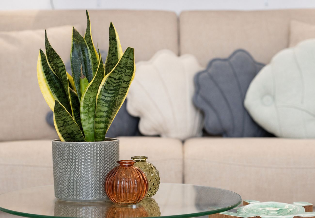 Apartment in Sperlonga - Simple. Stylish. Close to the sea.