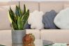 Apartment in Sperlonga - Simple. Stylish. Close to the sea.